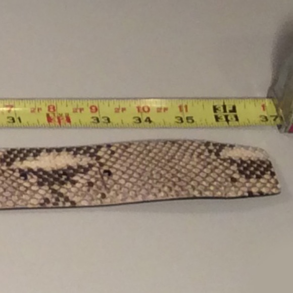 Dolce & Gabbana Genuine Python Belt